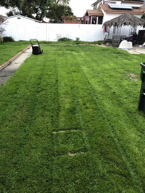 lawn care chula vista ca|Chula Vista CA Lawn Care & Mowing Services